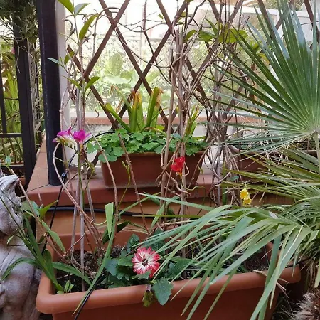 Alojamento de Acomodação e Pequeno-almoço B&B Alassio Alassio