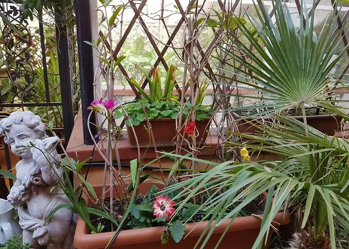 Oda ve Kahvaltı B&B Alassio Alassio